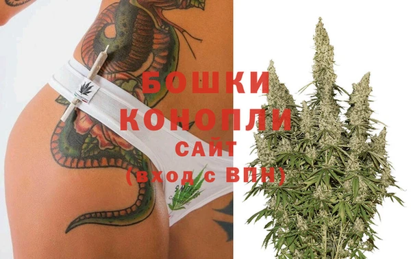 сатива Канск