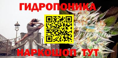 шишки Малгобек