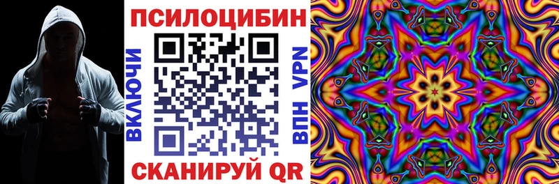 Галлюциногенные грибы Psilocybine cubensis  Мончегорск 