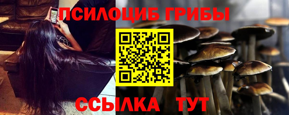 Псилоцибиновые грибы GOLDEN TEACHER  Вход с VPN  Мончегорск  Галлюциногенные грибы ЛСД 